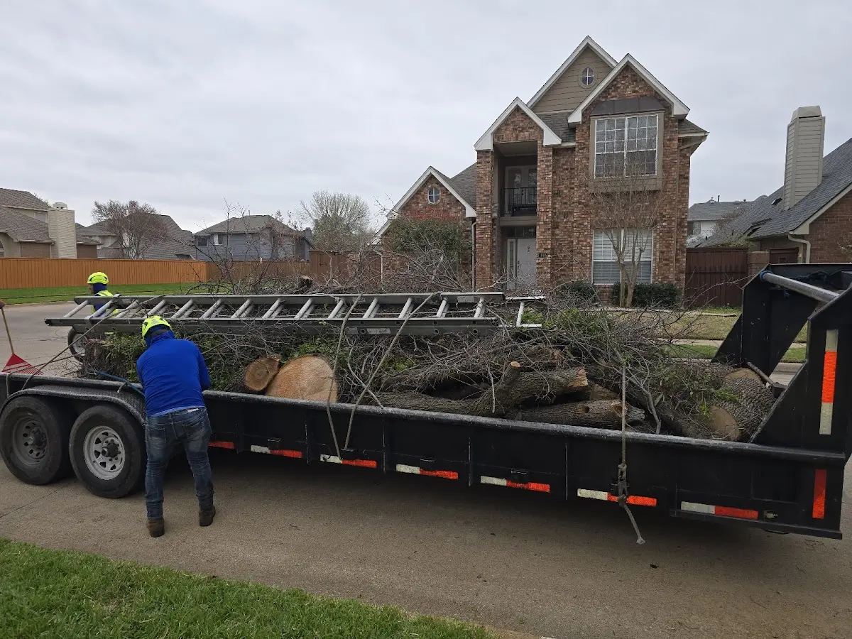 Expert Tree Fertilization with proper safety equipment in Gail